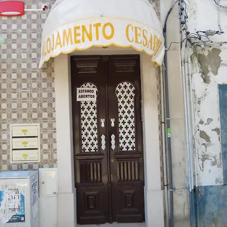 Cesarini Montijo